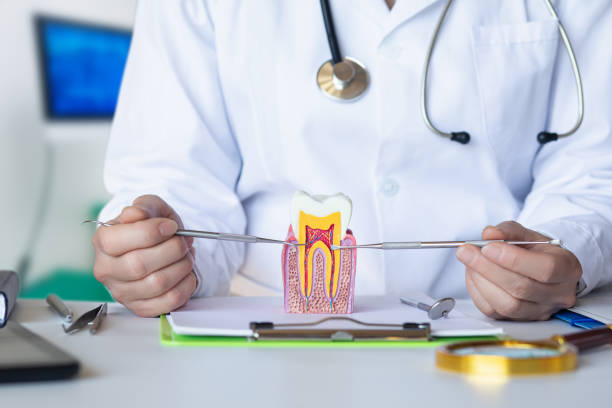 Best Emergency Treatment for Dental Infections or Abscesses in Anthony, KS